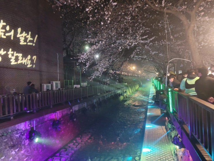  2024 진해군항제/마산해양누리공원 어린이그림그리기 대회