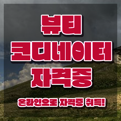  스타일리스트자격증 , 뷰티코디네이터 자격증 취득 정보 핵심 정보 정리