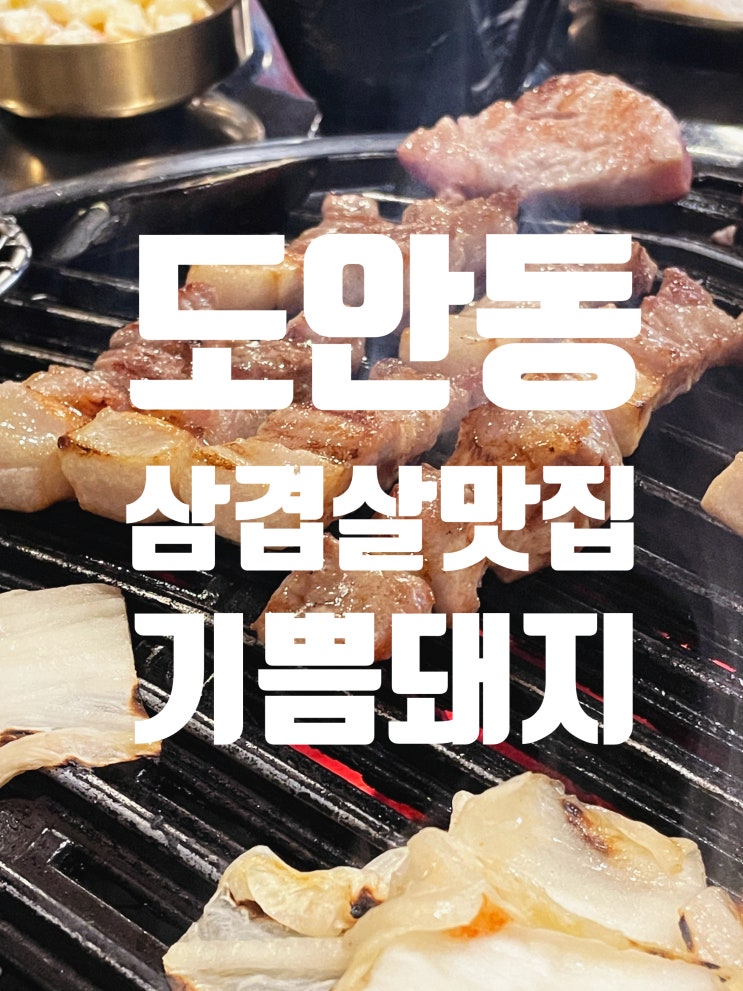  대전 도안동 삼겹살 맛집 기쁨 돼지 나만 알고 싶은 곳