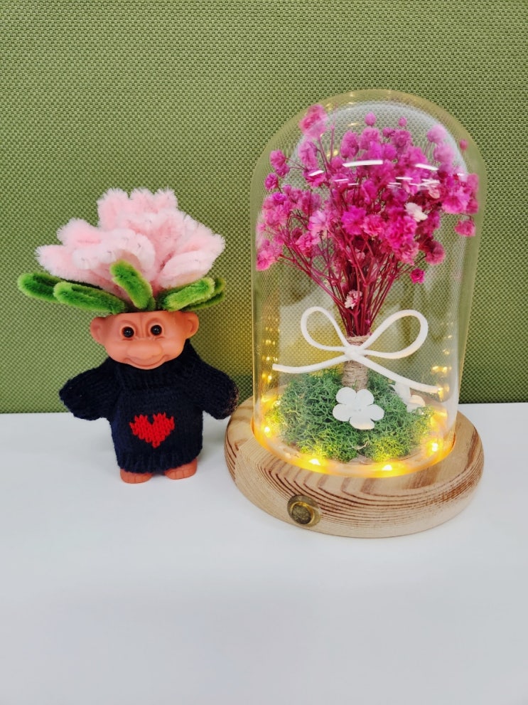  화분 선물 트롤 이오난사 키우기 카네이션 꽃으로 변신