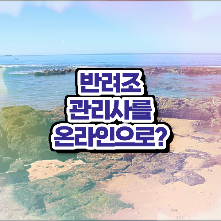  사랑앵무 알 , 반려조관리사 자격증 준비한 방법 제가 알려드릴게요