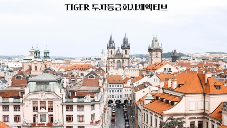  TIGER 투자등급회사채액티브/438330