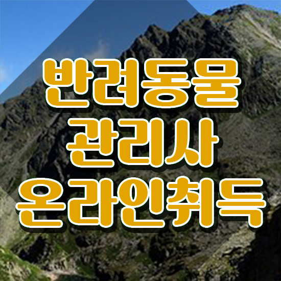  반려동물학과 4년제 , 반려동물관리사 자격증 취득한 방법 정리해드립니다