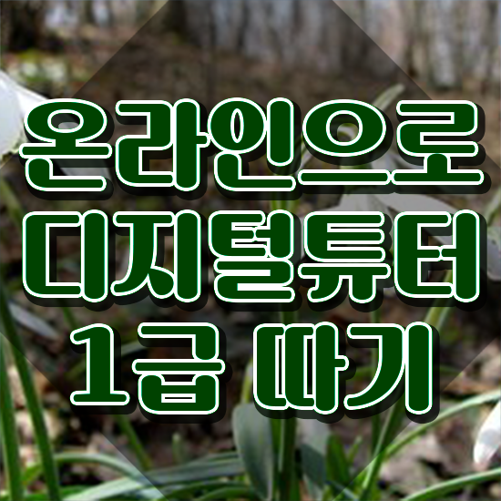  주부 자격증 추천 , 디지털튜터 경력없는 사람도 쉽게 완료한 전략