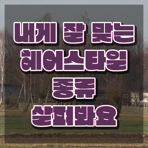  커트지도사 학점 , 커트지도사 자격증 취득 노하우 총 정리