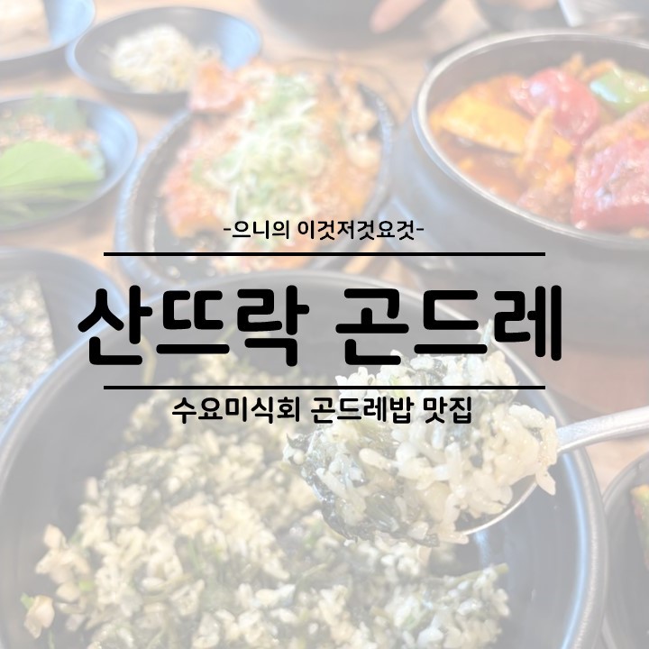  파주 심학산 한정식 수요미식회 곤드레밥 맛집 산뜨락 곤드레