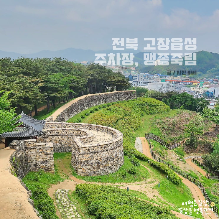 전라북도 5월 여행, 고창읍성 주차장 관람료 맹종죽림
