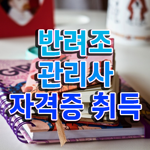  코뉴어앵무새키우기 , 반려조관리사 자격증 간단하게 취득했던 후기 요약해봤어요
