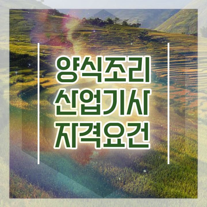  양식조리산업기사 취득자격 독학으로 간단하게 완료한 전략