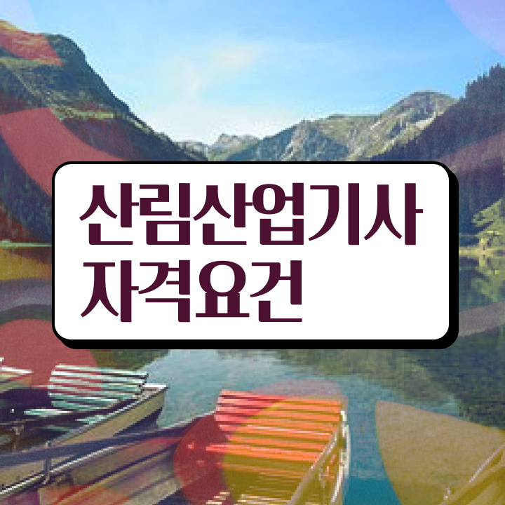  산림산업기사 준비기간 산림산업기사 자격요건 온라인 수업으로 빠르게 성공한 전략