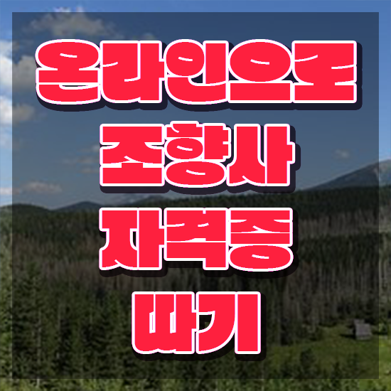  40대여성자격증 , 조향사 경력없는 고졸도 온라인 교육원 통해서 간편하게 끝냈던 전략