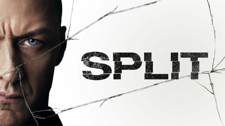  485. 영화 <23 아이덴티티 (Split, 2017)>