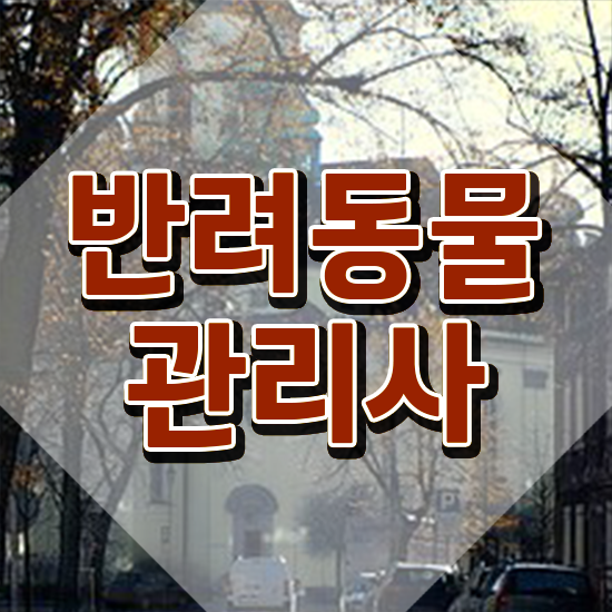  강아지 훈련사 자격증 , 반려동물관리사 자격증 쉽고 빠르게 시험준비 핵심 정보 가득
