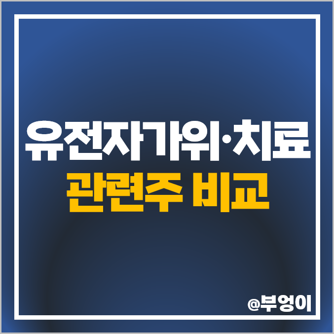 유전자 치료제 관련주 유전자가위 주식 신라젠 주가 랩지노믹스 지노믹트리 유전자 치료제 관련주 유전자가위 주식 신라젠 주가 랩지노믹스 지노믹트리