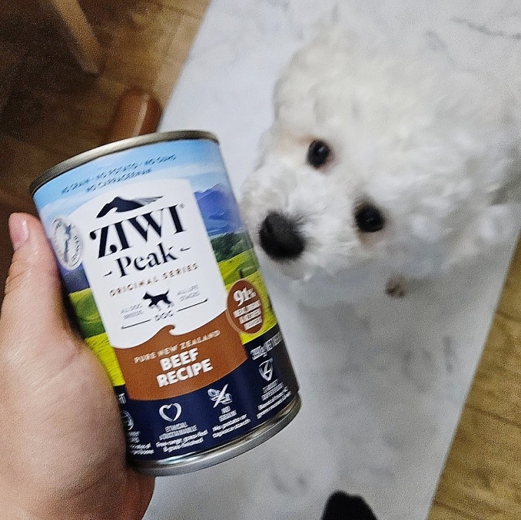 지위픽 강아지 습식캔 소고기맛 급여후기