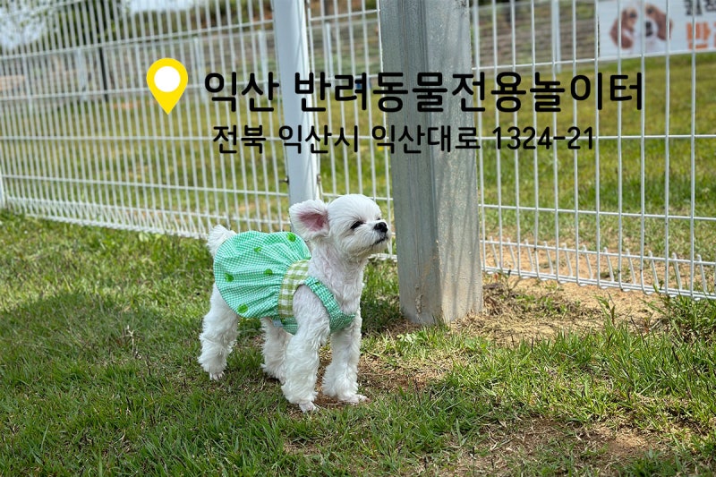 사진 2