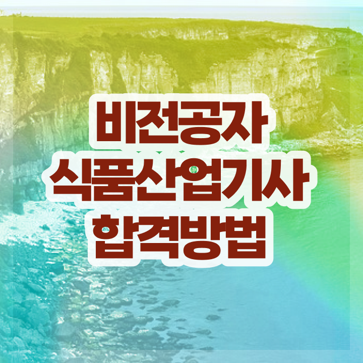  식품산업기사 시험과목 식품산업기사 응시조건 온라인 수업으로 단기간에 완료한 방법