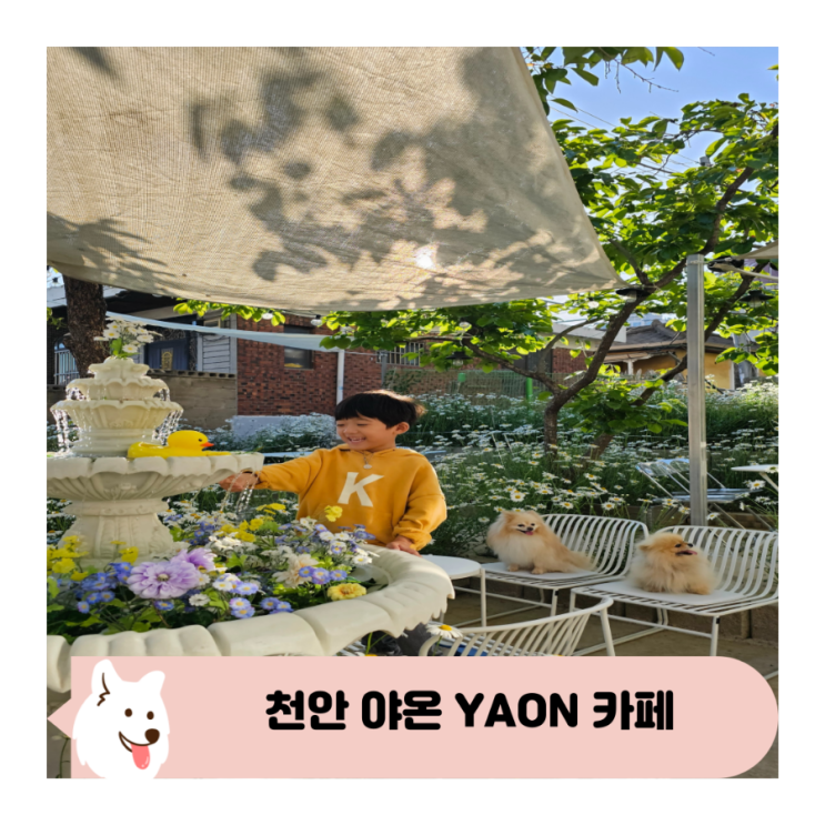  천안 신상 주택개조 데이지 카페 야온 YAON 애견동반