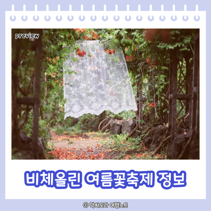  비체올린 능소화 여름꽃축제 제주서쪽여행코스 추천