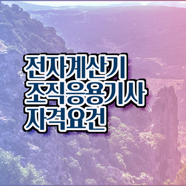  전자계산기조직응용기사 응시자격 독학으로 간단하게 끝낸 후기