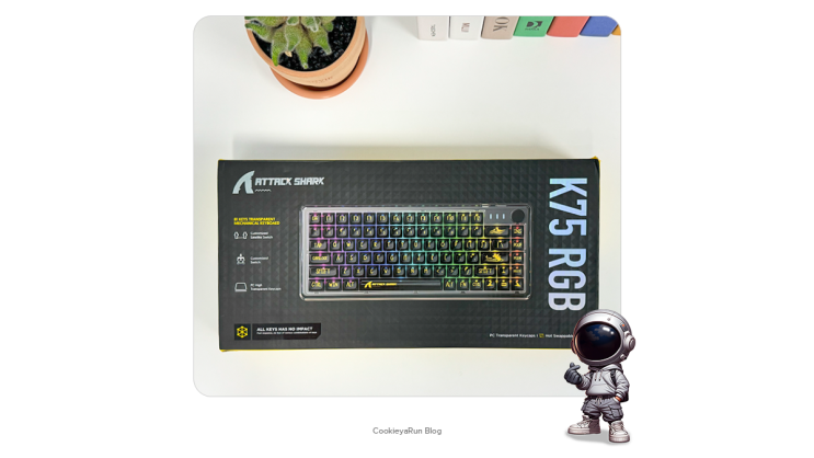  기계식 텐키리스 커스텀 키보드 K75 RGB 리뷰