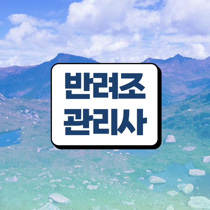  사랑 앵무새 , 반려조관리사 자격증 온라인으로 쉽게 합격한 비법 , 이후 전망