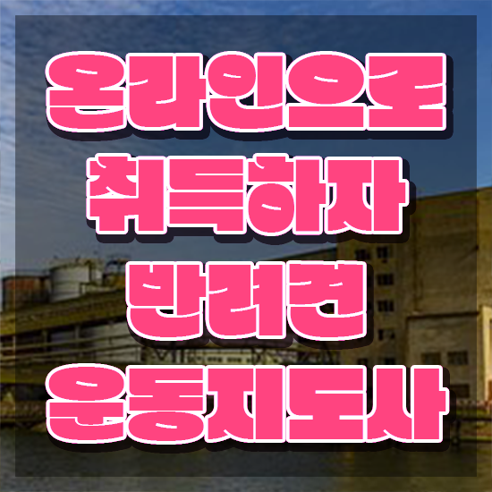  주부 자격증 추천 , 반려견운동지도사 관련학과 졸업장 없어도 일하면서 초단기 성공한 비법