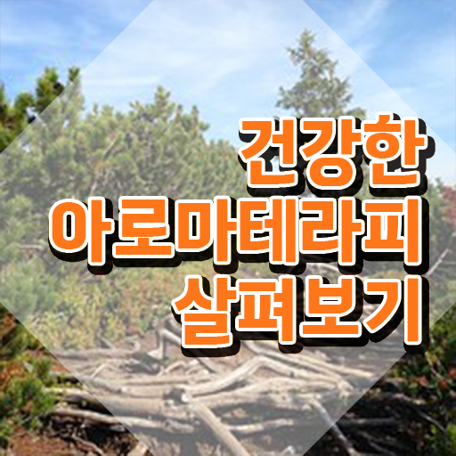  아로마뷰티diy지도사 시험 , 아로마뷰티DIY지도사 자격증 취득 정보 최단기간 취득한 과정