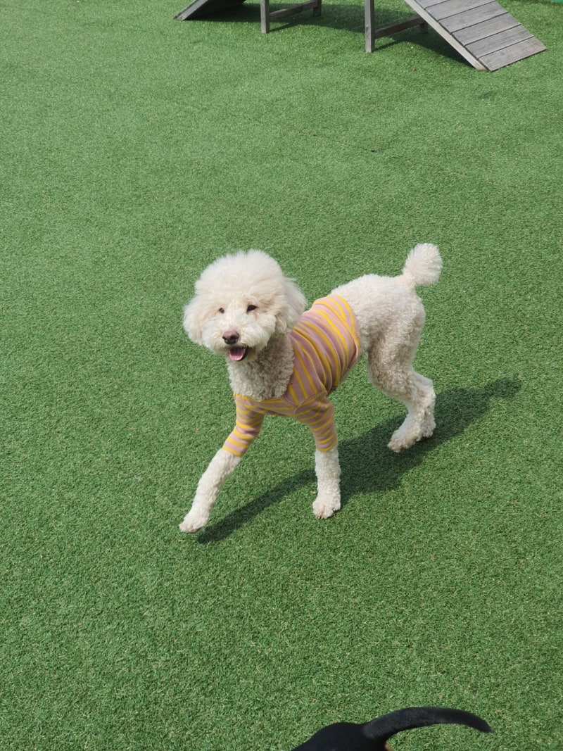 사진 5