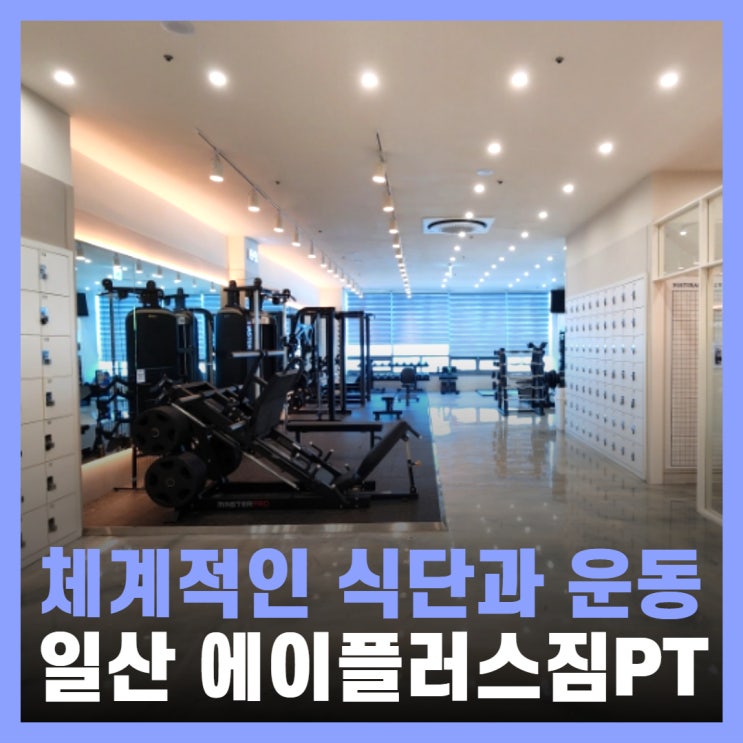  일산 백석역 헬스장 에이플러스짐 PT 후기