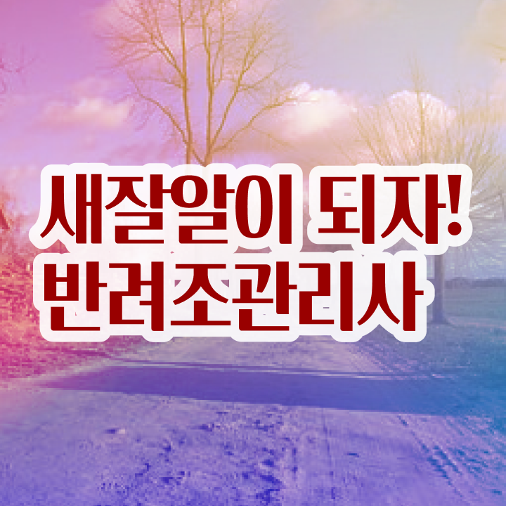  대전앵무새분양 , 반려조관리사 자격증 비용없이 온라인으로 취득한 과정 , 채용 정보