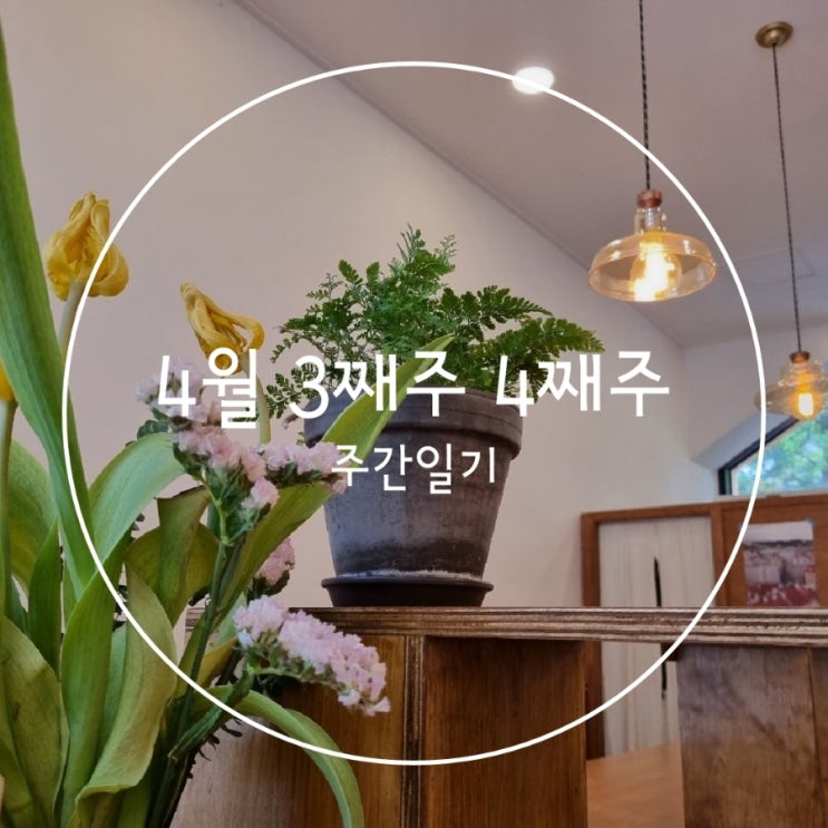  4월 3째주 4째주 주간일기 아라닭강정 물폭탄 북새통떡볶이