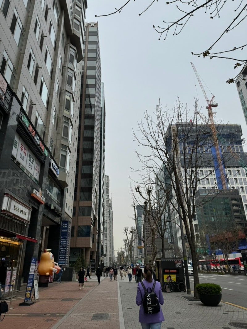 강남역 저렴한 호텔 토요코인강남 가격 주차장 레이트체크아웃 : 네이버 블로그