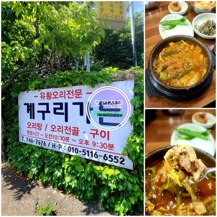  제주 도민 맛집 1인 오리탕이 가능한 해안동 계구리가든