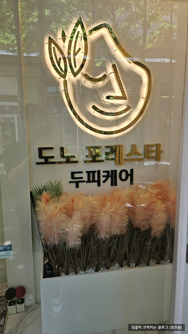  도노포레스타 광교중앙역 두피 탈모 방문리뷰