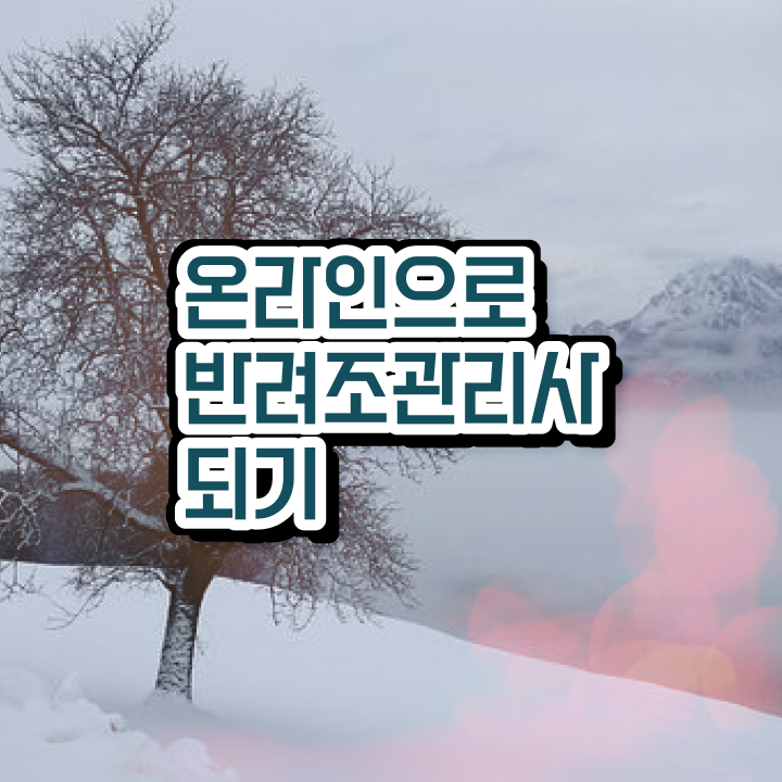  퀘이커 앵무새 가격 , 반려조관리사 자격증 합격 전략 정보를 알고싶다면