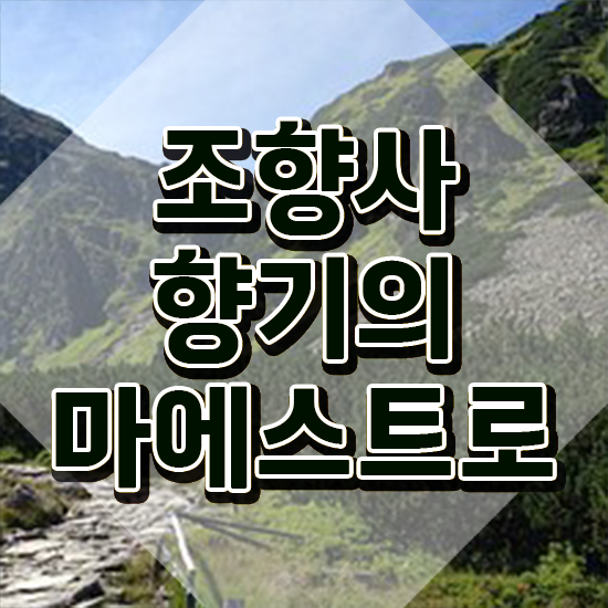  40대후반자격증 , 조향사 편하게 끝냈던 비법