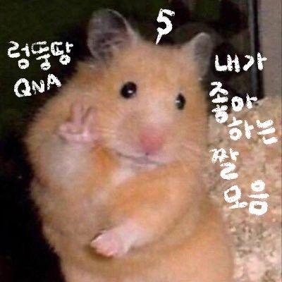 Q5. 내가 좋아하는 짤 모음