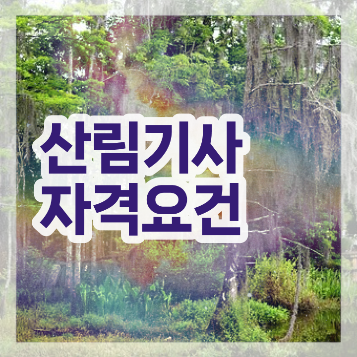  산림기사 책 이미지 산림기사 자격요건 온라인 과정으로 간편하게 준비한 노하우