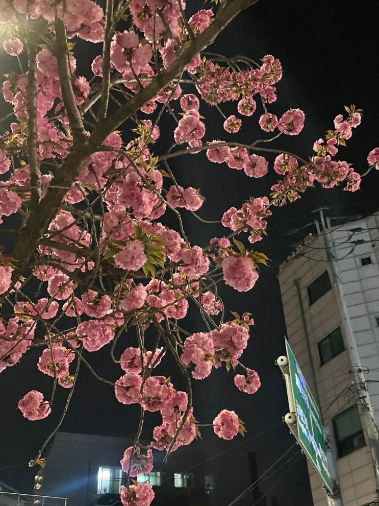  [휴가 안쓰고 해외여행] No 휴가, Yes 양꼬치!! 번개여행 가보자고