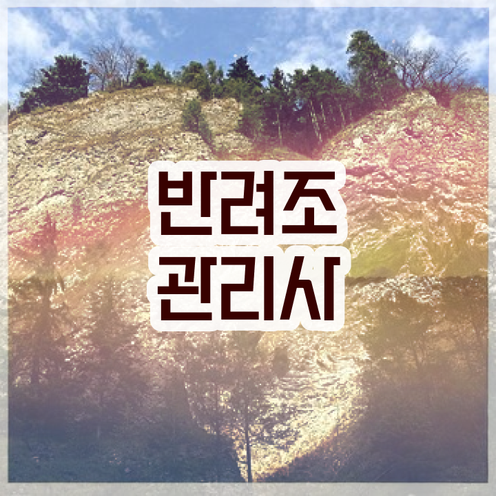  사랑앵무새분양 , 반려조관리사 자격증 온라인으로 취득 정보 알아볼게요