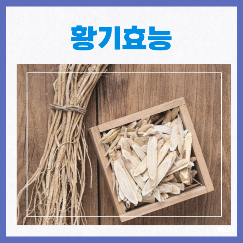 황기효능 부작용 : 네이버 블로그
