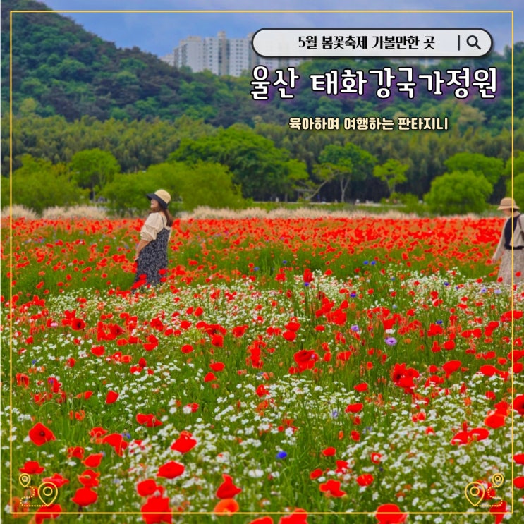  울산 태화강국가정원 봄꽃축제 (개화상황, 행사 프로그램, 출연가수, 주차장) - 5월 가볼만한곳으로 추천
