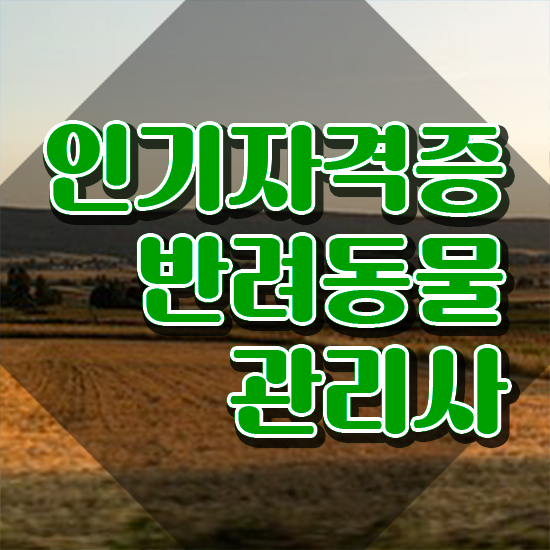  반려동물과 대학 , 반려동물관리사 자격증 온라인 교육으로 취득한 과정 및 전망