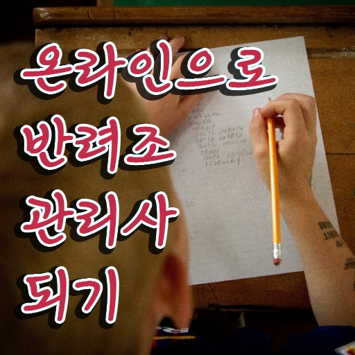  파인애플코뉴어앵무새 , 반려조관리사 자격증 20일 만에 합격한 전략 및 활용 방법