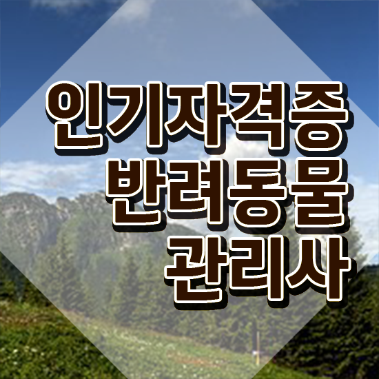  시민 반려동물장례식장 , 반려동물관리사 자격증 취득한 노하우 확인해보세요