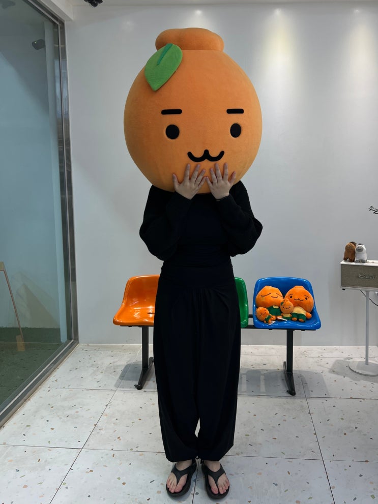  제주 동문시장 한라봉 착즙주수 : 봉돌이네