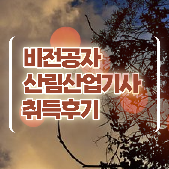  산림산업기사 필기 산림산업기사 시험응시조건 학점은행제로 간단하게 완료한 비법