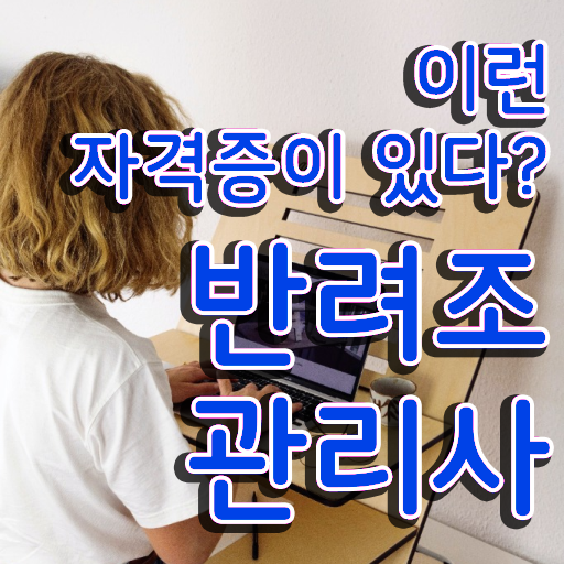  퀘이커 앵무새 분양 , 반려조관리사 자격증 직장인도 쉽게 합격정보 정보 모두 드려요