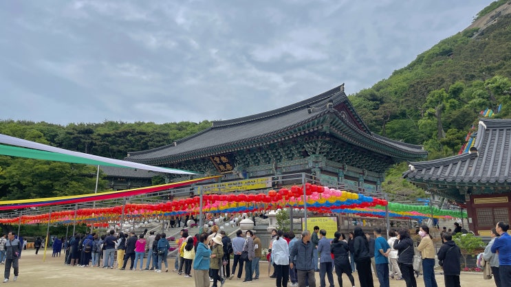  [인천︱강화] 강화도 여행 가볼 만한 곳/ 3대 해수관음성지/ 바다가 보이는 사찰 '보문사'